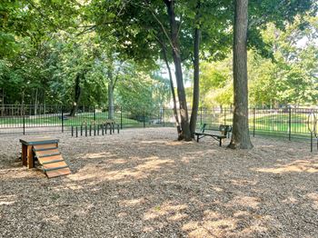 Dog park